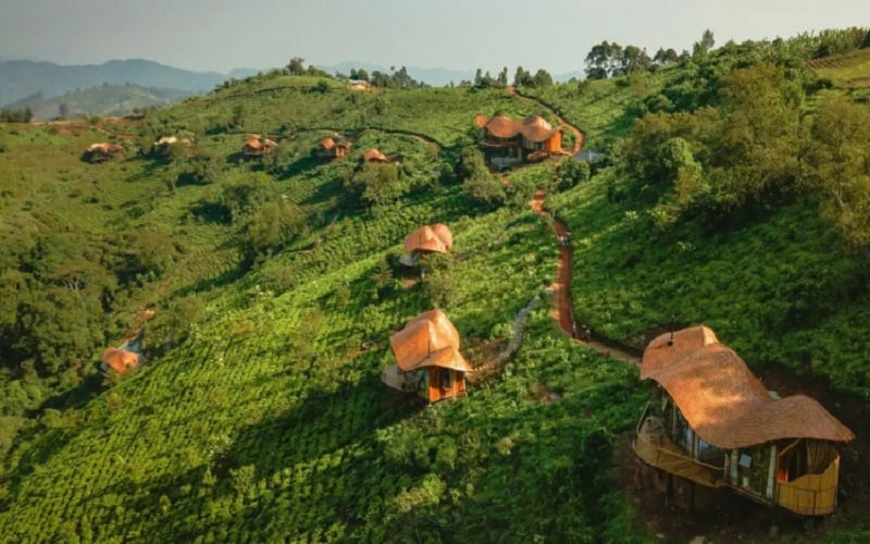 Erebero Hills